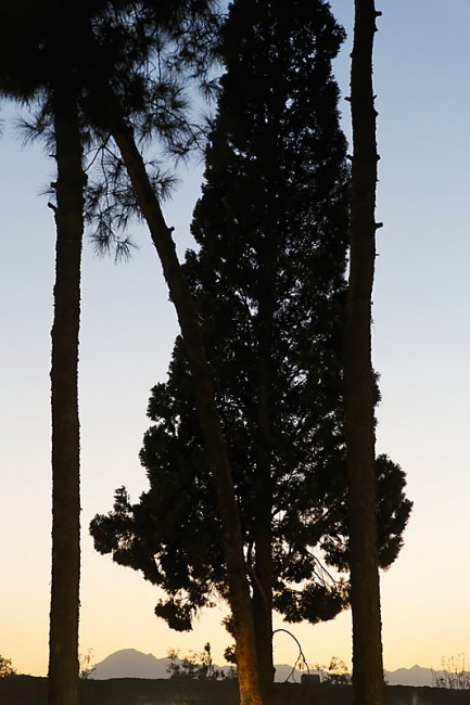 Yazd-Jardin Dolat Abad-023